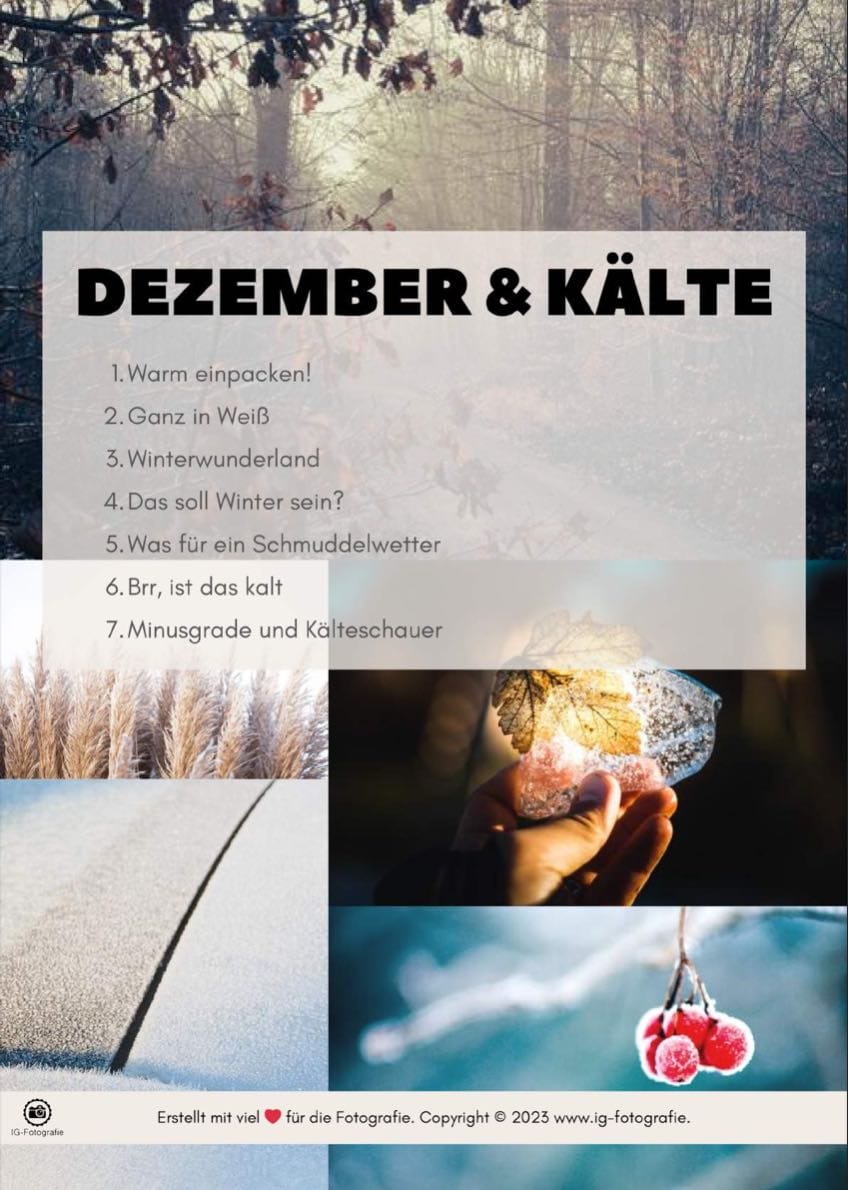 Foto-Inspirationen für die Weihnachtszeit (PDF/Download - gratis eBook) – Bild 2